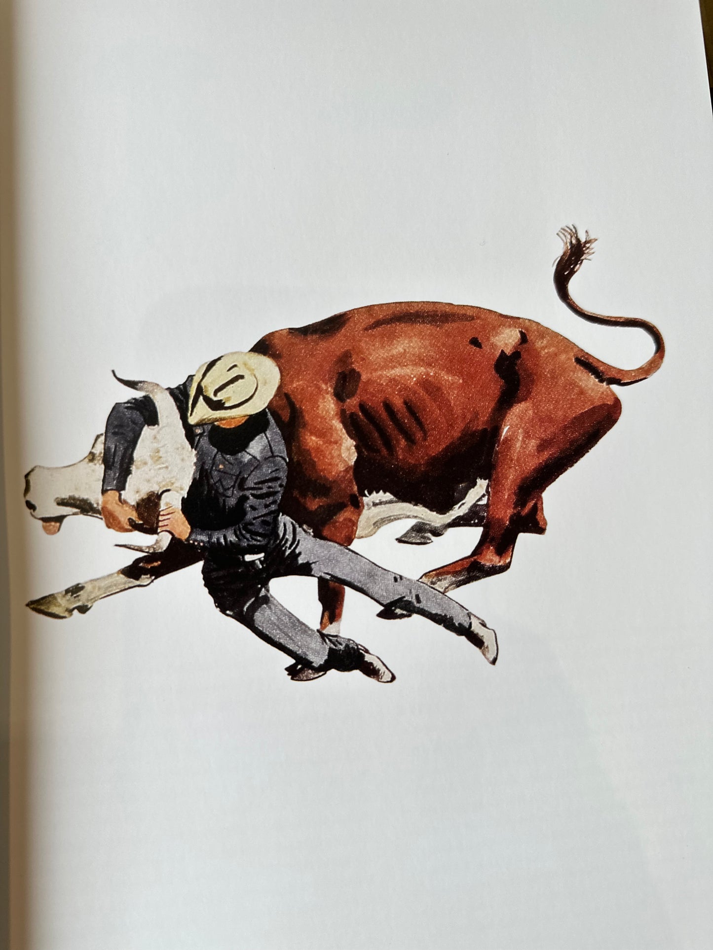 Wrangler Archive Book