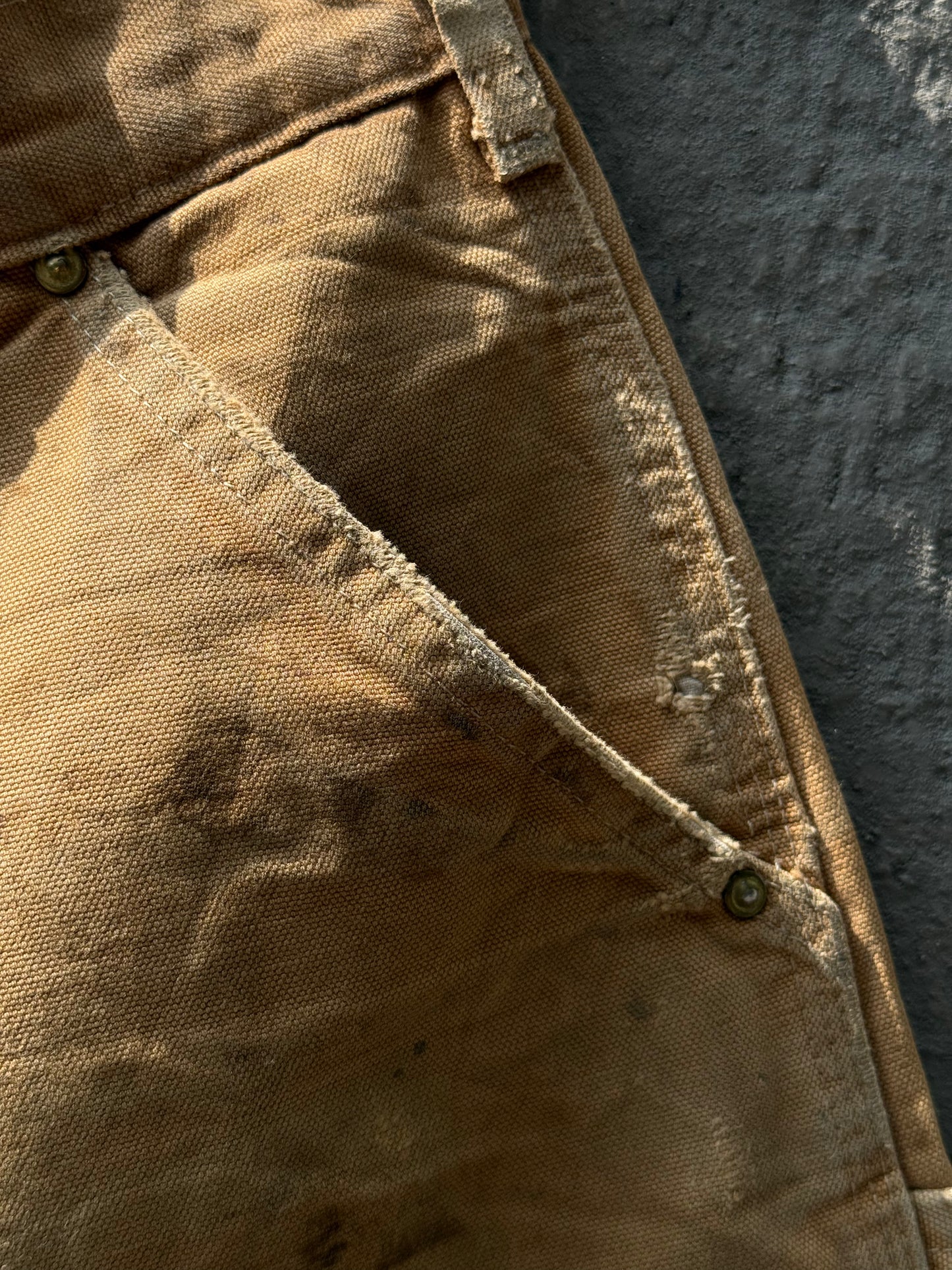 Carhartt Pant Double Knee