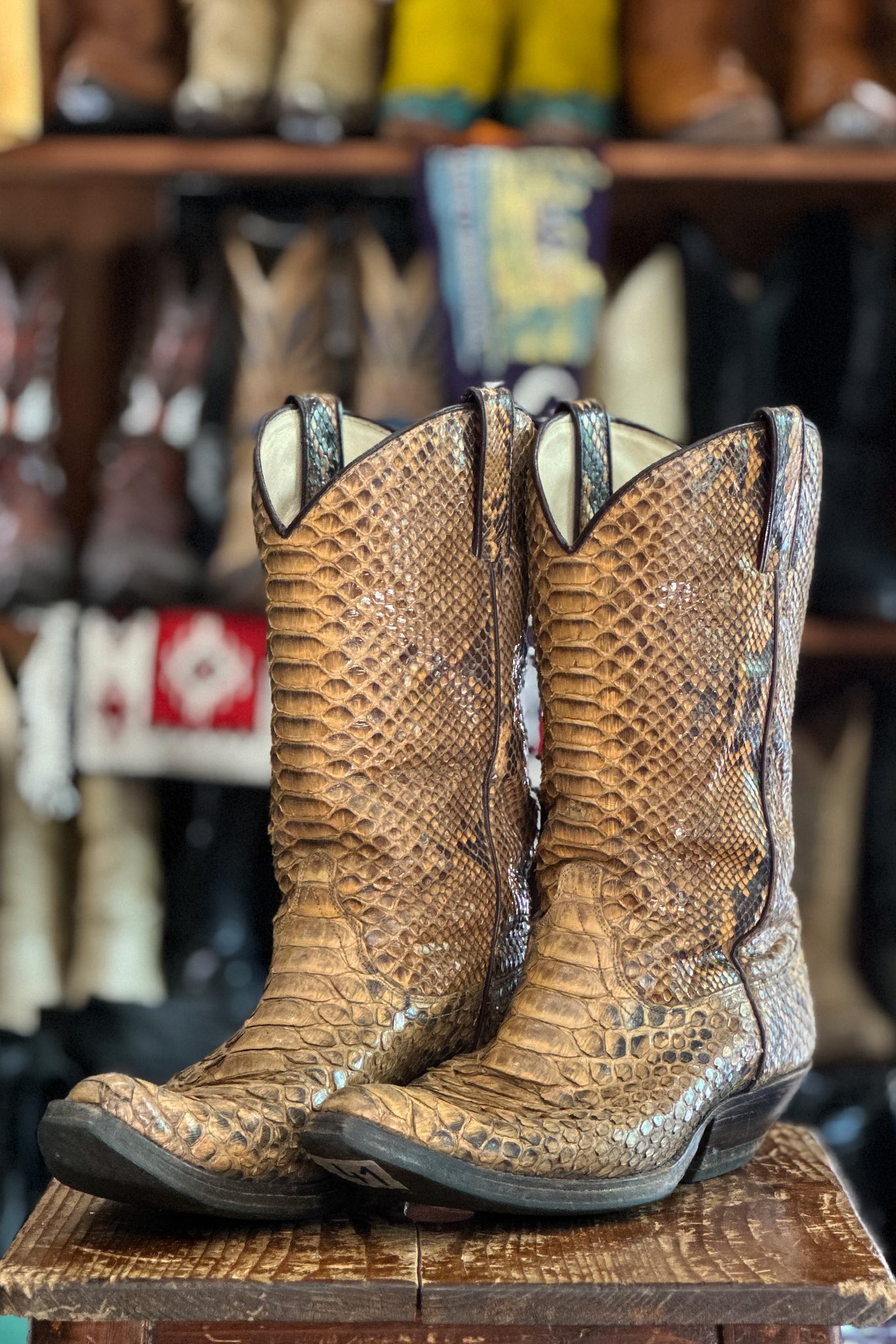 CowBoy Boots TONY MORA snake skin | UNION FADE VINTAGE MILANO